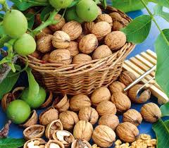 Грецкий орех