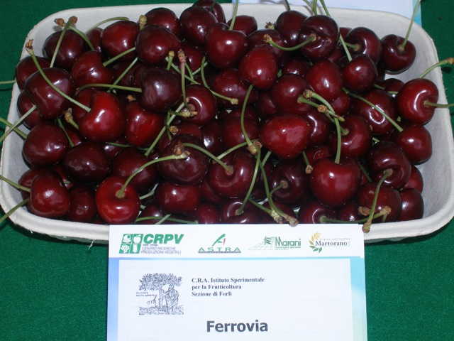 Ferrovia